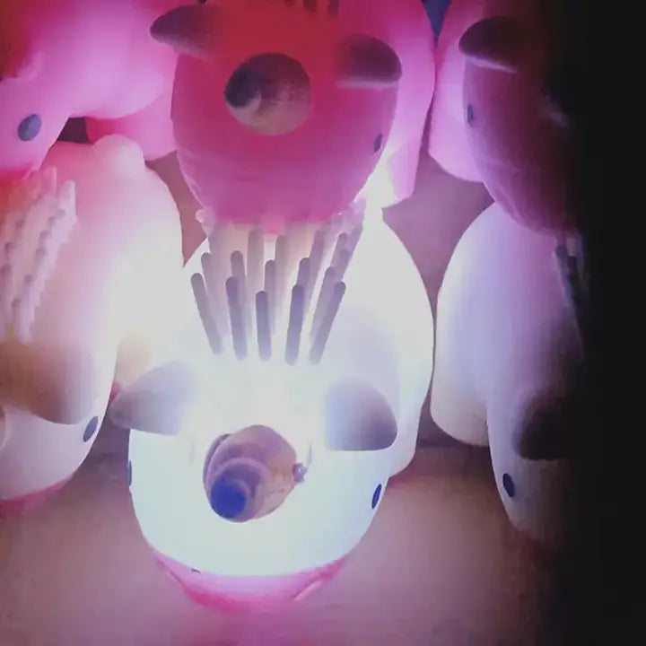 Unicorn Light Up Squishy Kids Toy