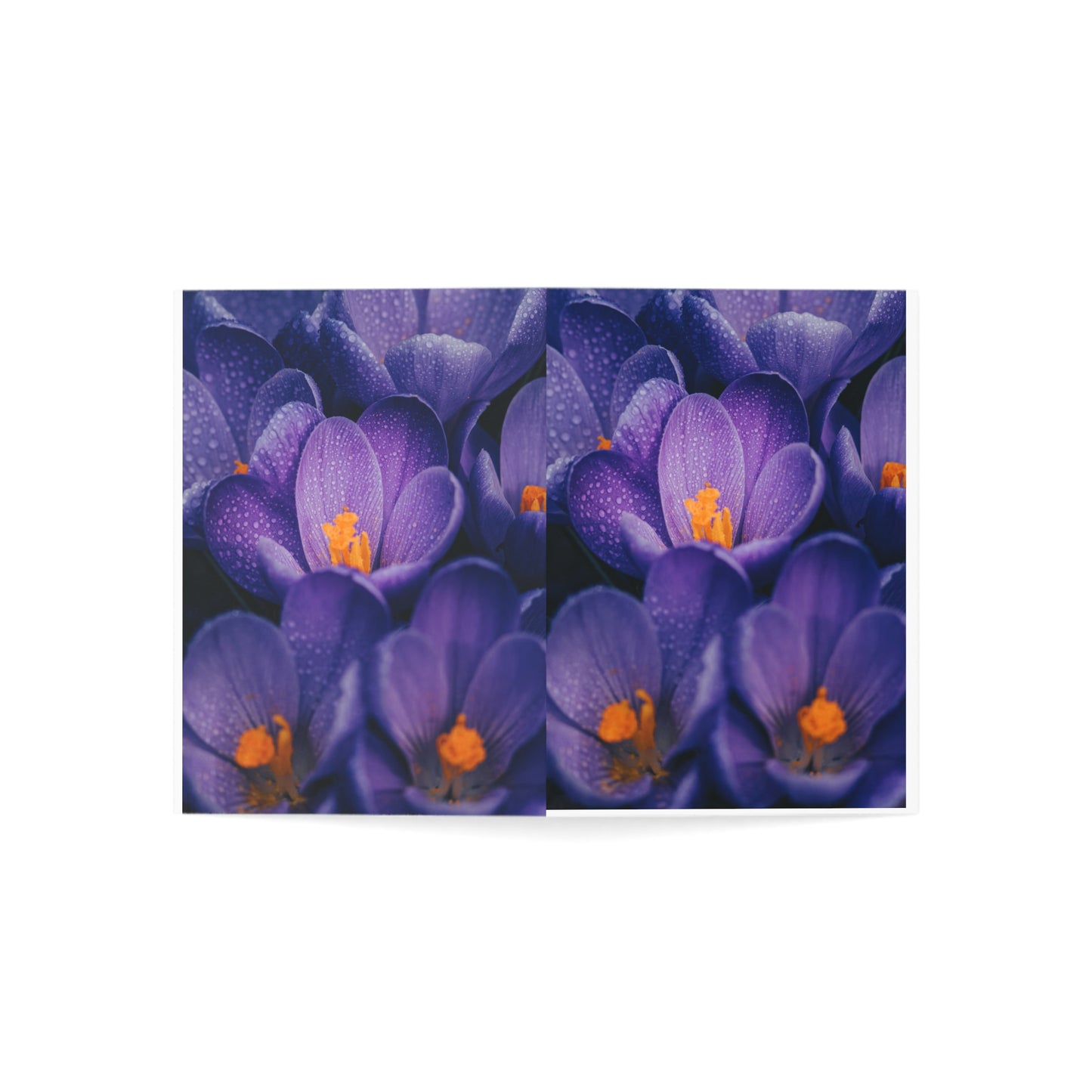 Purple flower Greeting card