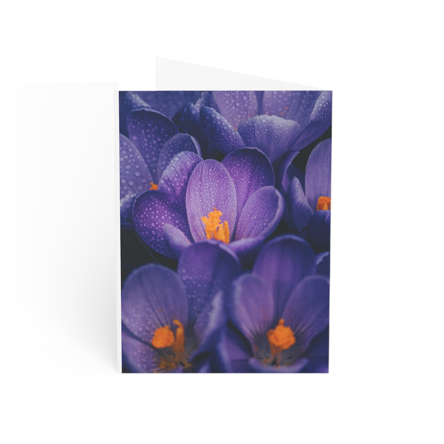 Purple flower Greeting card