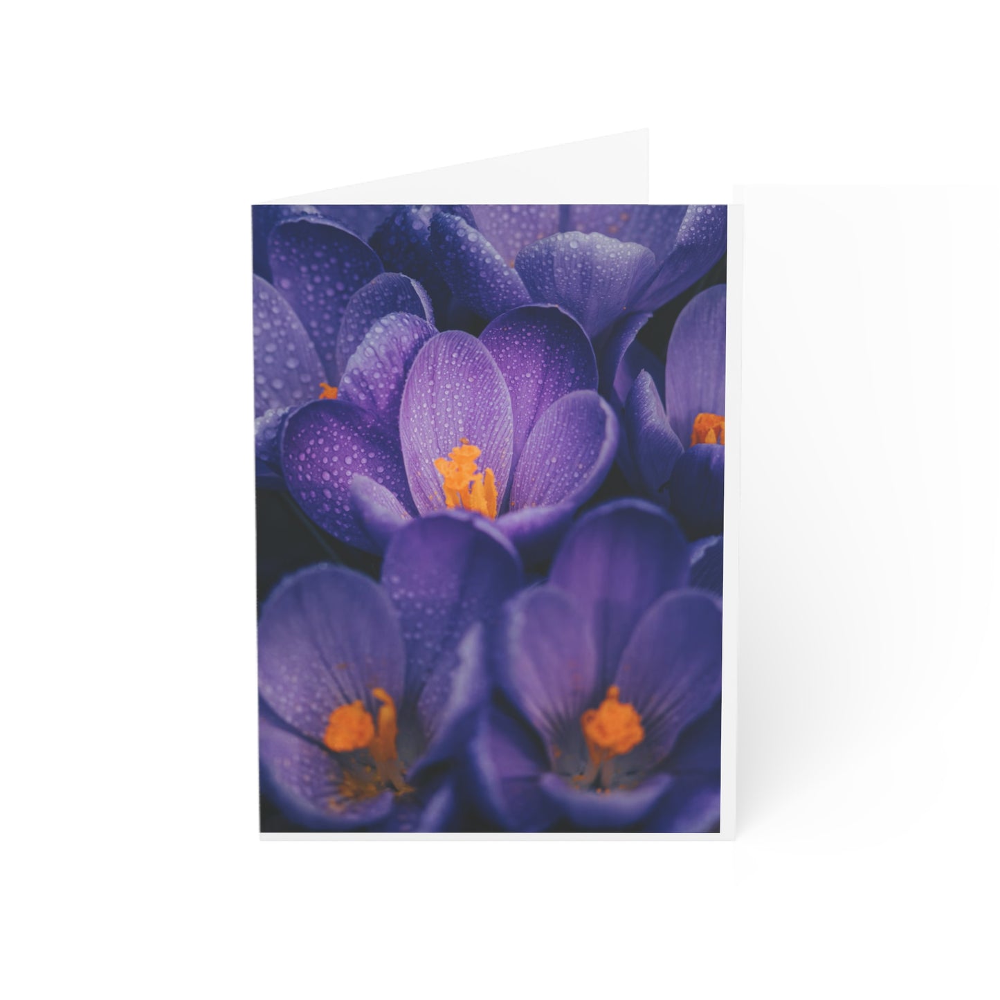 Purple flower Greeting card